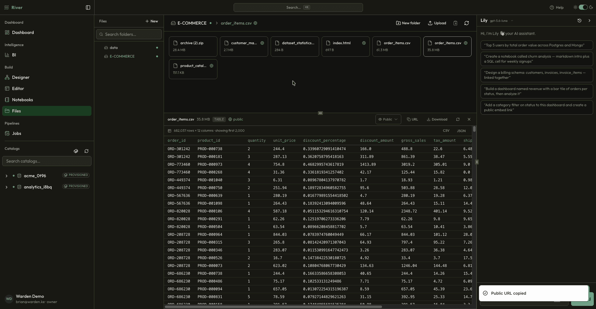 River file preview of a large CSV with columns and rows